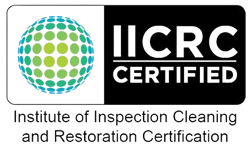 Institute of Inspection Cleaning and Restoration Certification Badge